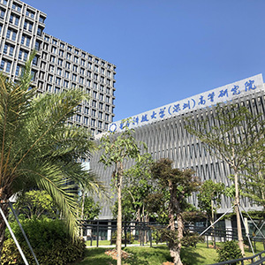 电子科技大学（深圳）研究院