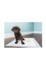 Köpek Tuvalet Çiş Eğitim Pedi 60x90 cm ( 10 Adet ) - Görsel 3