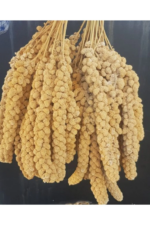 Vitaking Kuşlar İçin Doğal Sarı Dal Darı 100 gr - Görsel 3