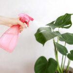 2 Sprey Modlu Mutfak Banyo  Bakımı İçin Çok Amaçlı Spreyli Şişe 700 ML