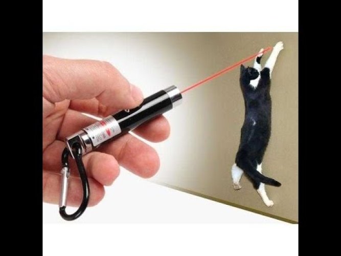 4-yedek-ba-2996-1.jpg 4 Yedek Başlıklı Pilli Kedi Oyuncağı Lazer Anahtarlık - Görsel 1