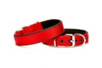 Softlu Köpek Boyun Tasması 2 cm x 40 cm Kırmızı