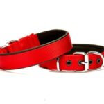 Softlu Köpek Boyun Tasması 2 cm x 40 cm Kırmızı