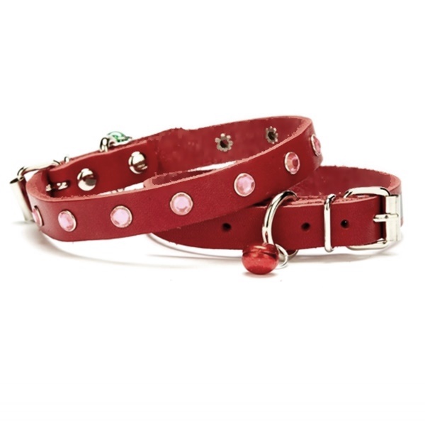 636016072889396846jpg1565179692.jpg Taşlı Kedi ve Yavru Köpek Tasması 1,0x19 cm Kırmızı Small - Görsel 1