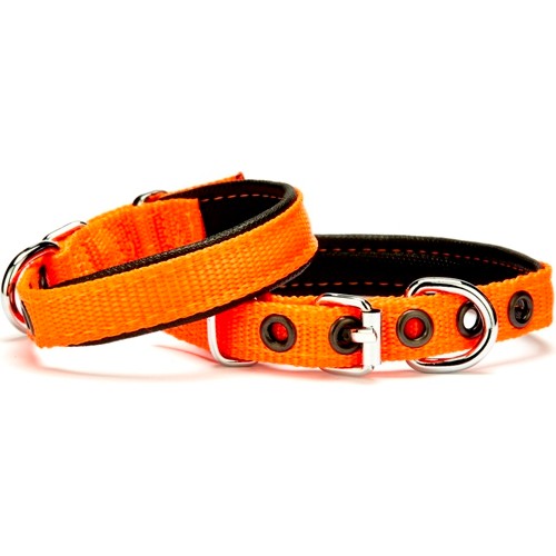 9639391363122jpg.jpg Softlu Köpek Boyun Tasması 1,5 cm x 30 cm Tcu - Görsel 1