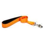 Köpek Gezdirme Kayışı 3*100 cm Tcu - Görsel 3