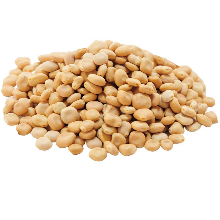 Acı Bakla Tohumu 1 Kg Pkt - Doğan Acı Bakla Tohumu Yahudi Baklası Doğal 50 Gr Paket - Görsel 1