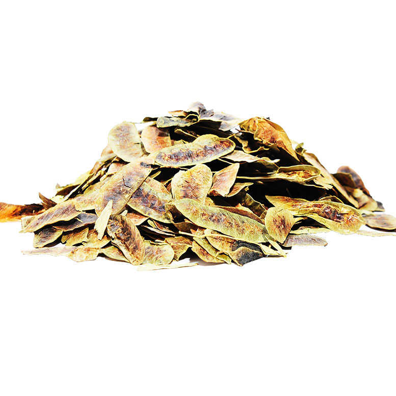 Açlık Otu - Erkek Sinameki 100Gr Pkt - LokmanAVM Açlık Otu Erkek Sinameki Doğal 100 Gr Paket - Görsel 1