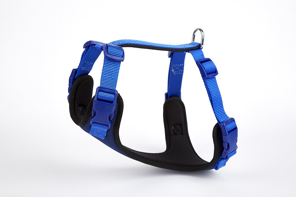adgt10m-royalblue.jpg Havalı Köpek Göğüs Tasması 30x35 cm Mavi - Görsel 1