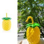 Ananas Pipetli Suluk - Görsel 3