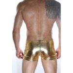 Arkası Fermuarlı Boxer - Görsel 3