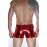 Arkası Fermuarlı Boxer - Görsel 2