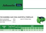 Atlantis CM20 1 HP Santrifuj Pompa - Görsel 2