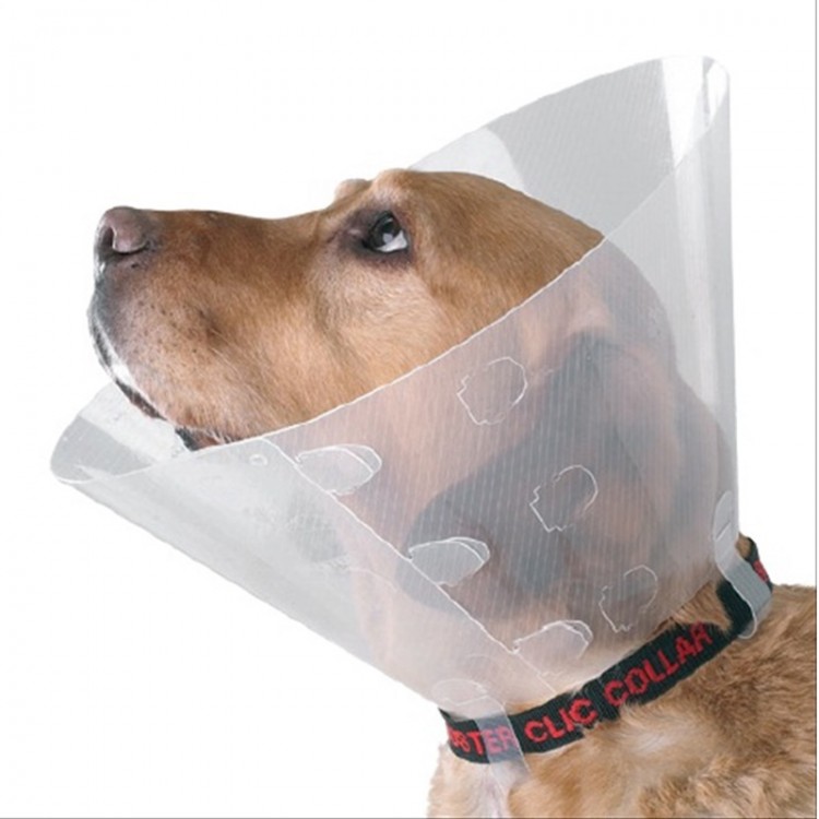 buster-elisabeth-effaf-yakaliklar-4-750x750-jpg-jpg1609506441.jpg Kedi Köpek Yakalığı Small 12,5cm ø/ 28-33cm - Görsel 1