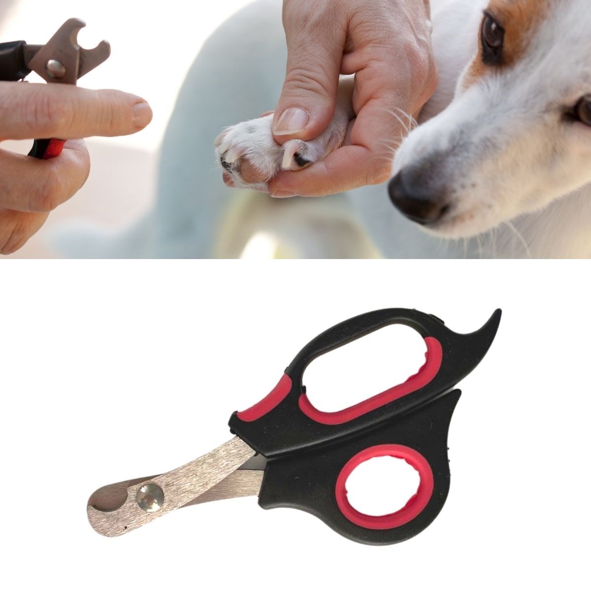 buyuk-bo-6057-1.jpg Büyük Boy Evcil Hayvan Köpek Kedi Çelik Uçlu Tırnak Makası Pati Bakım Aleti - Görsel 1