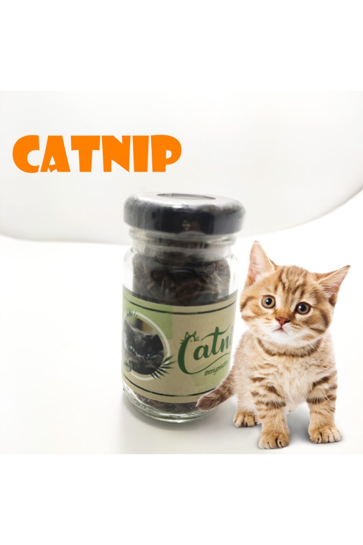 catnip-do-2997-1.jpg Catnip Doğal Kedi Otu - Kedi Nanesi - Görsel 1