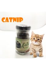 Catnip Doğal Kedi Otu - Kedi Nanesi - Görsel 3