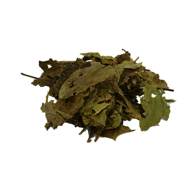 ceviz-yapragi-dogal-100-gr-paket-lokmanavm-34469-10-b.jpg Ceviz Yaprağı Doğal 100 Gr Paket - Görsel 1