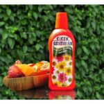 Çiçek Coşturan 1300 - Çiçek Açan Bitkiler İçin