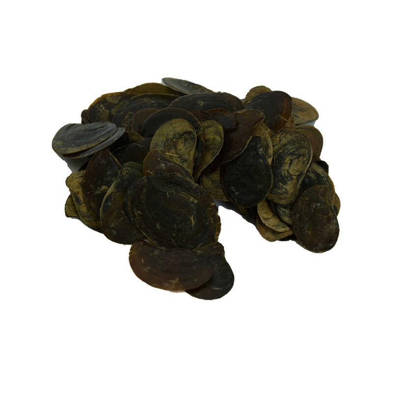 cin-tirnagi-100-gr-paket-lokmanavm-34639-10-b.jpg Cin Tırnağı 100 Gr Paket - Görsel 1