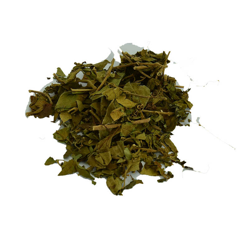 cinnema-gurmar-otu-gymnema-sylvestr-100-gr-paket-lokmanavm-lokmanavm-34660-10-b.jpg Cinnema Gurmar Otu Gymnema Sylvestr 100 Gr Paket - Görsel 1