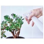 Çok Amaçlı Spreyli Şişe Şeffaf 350 ML - Görsel 3