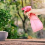 Çok Amaçlı Fısfıs Çiçek Sulama Plastik Su Sprey Şişesi 700 ml TP-219 - Görsel 5