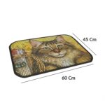 Kum Toplayıcı Fonksiyonel Renkli Kedi Paspası 45 x 60 cm - Görsel 5