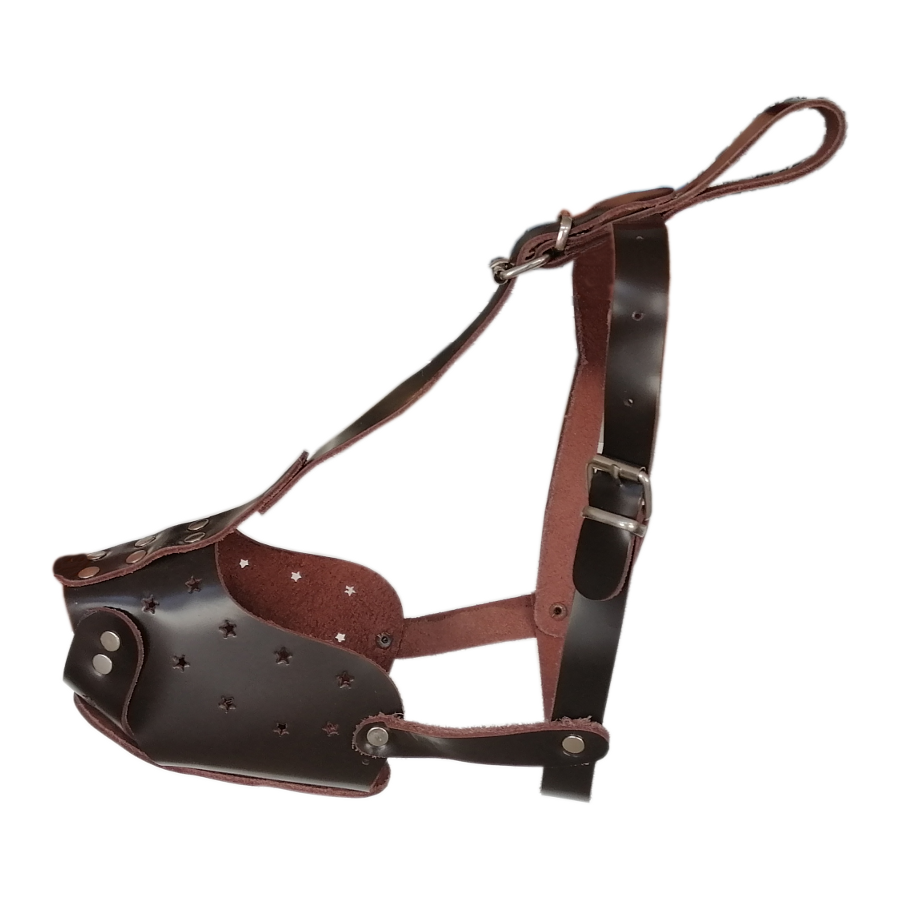 deri-kopek-agizligi-png1617885367.png Orta ve iri Irk Deri Ayarlanabilir Köpek Ağızlığı Kahverengi XLarge 33 cm - Görsel 1