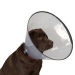 Kedi Köpek Yakalığı 15 CM - Görsel 3
