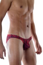 Desenli Erkek Slip - Görsel 4