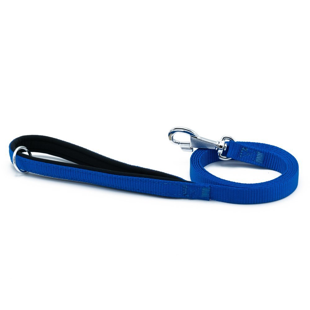 dgzt15mroyalblue-jpg.jpg Köpek Gezdirme Kayışı 1,5*160cm Mavi - Görsel 1
