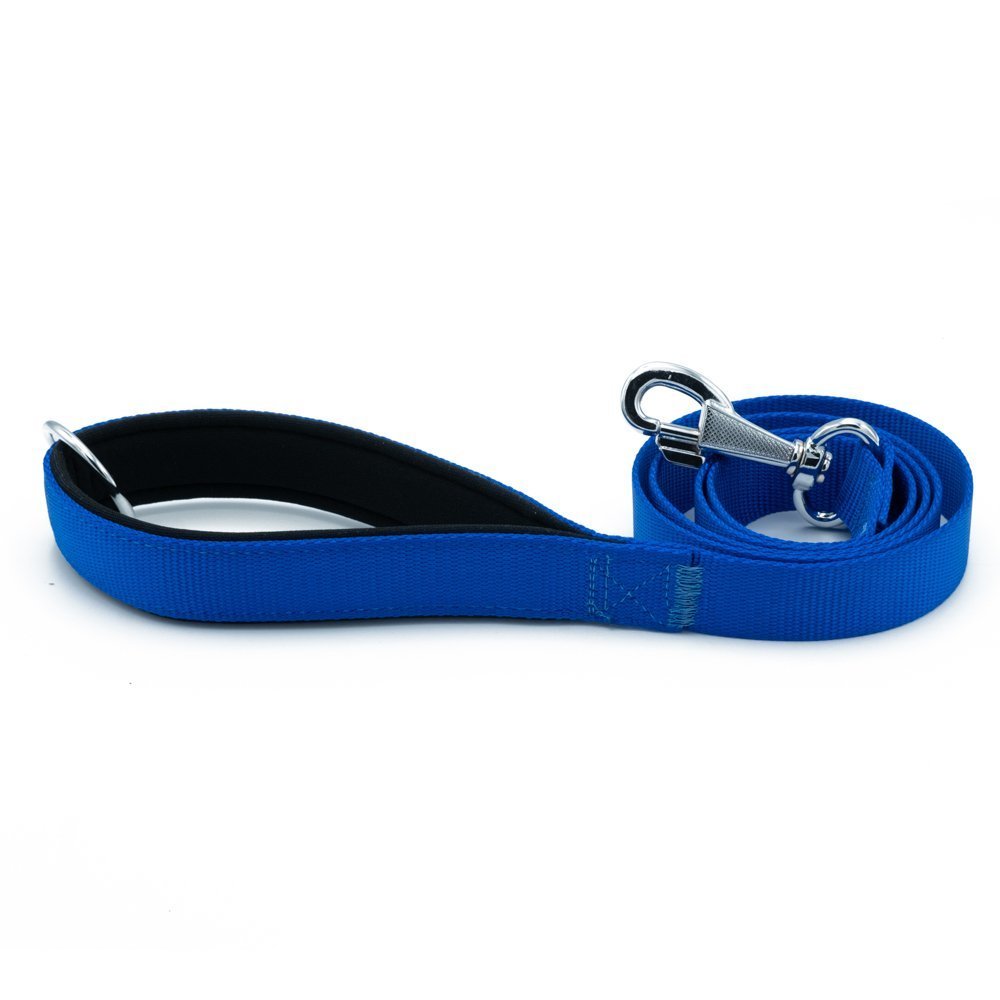 dgzt25mroyalblue-jpg.jpg Köpek Gezdirme Kayışı 2,5*120 cm Mavi - Görsel 1