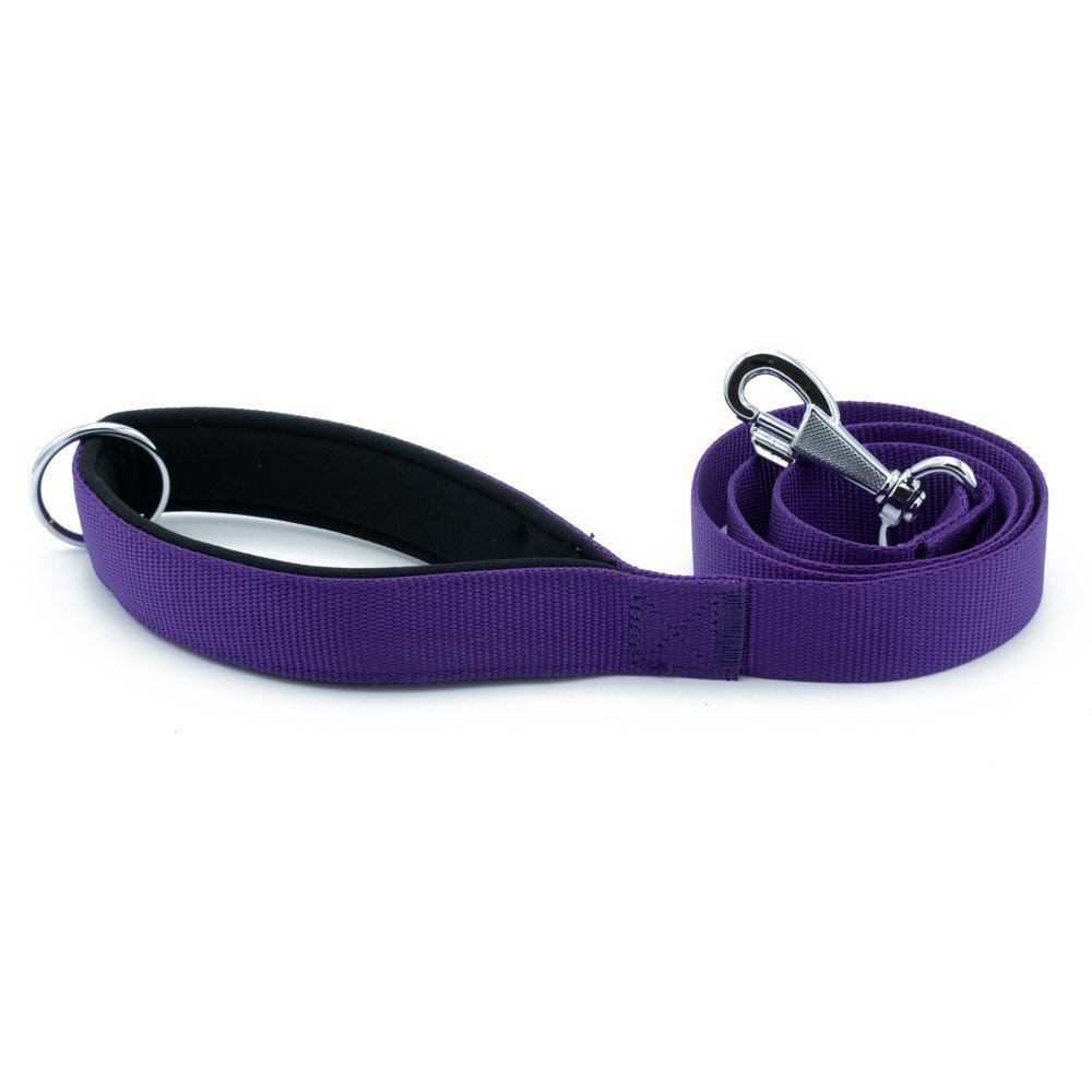 dgzt30mpurple-jpg.jpg Köpek Gezdirme Kayışı 3*100 cm Mor - Görsel 1