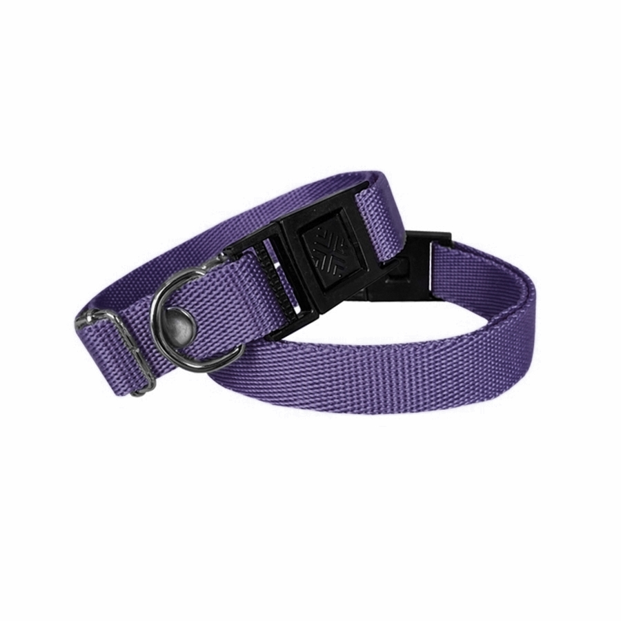 dkm-mr-jpg.jpg Köpek Tasması Dokuma 2 cm - Min: 30 cm - Max: 50 cm Mor - Görsel 1