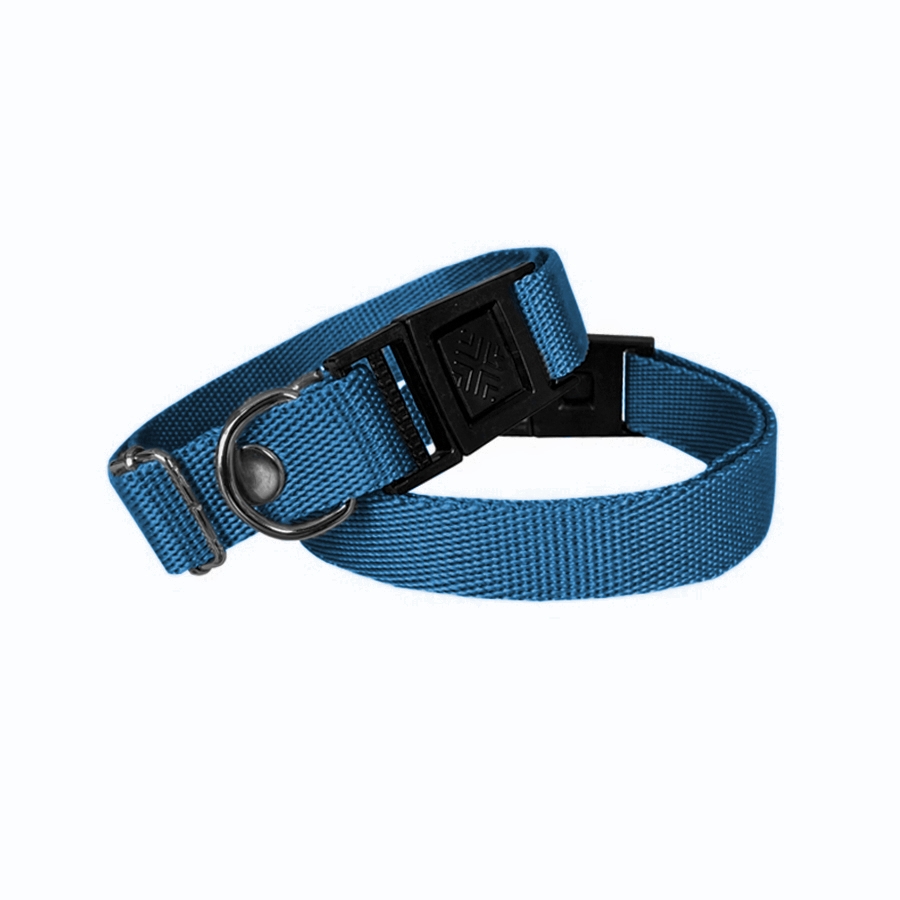 dkm-mv-jpg.jpg Köpek Tasması Dokuma 2 cm - Min: 30 cm - Max: 50 cm Mavi - Görsel 1