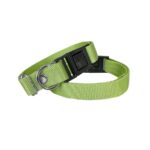 Köpek Tasması Dokuma 2 cm - Min: 30 cm - Max: 50 cm Yeşil