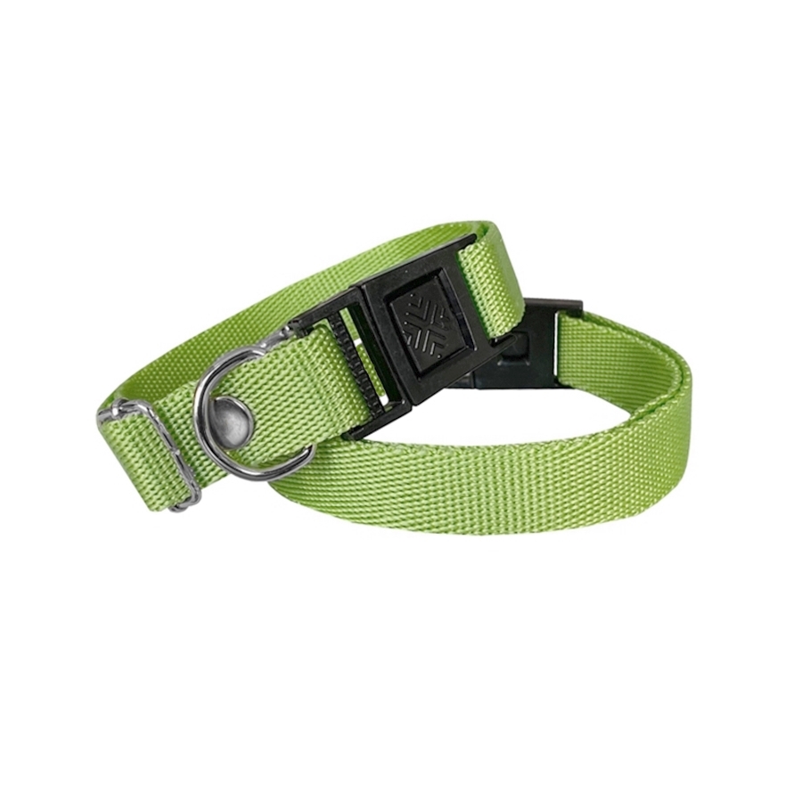 dkm-ysl-jpg633af.jpg Köpek Tasması Dokuma 2 cm - Min: 30 cm - Max: 50 cm Yeşil - Görsel 1