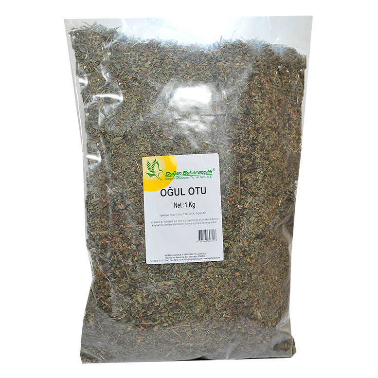 Oğul Otu 1Kg Pkt - Doğan Doğal Oğul Otu 1000 Gr Paket - Görsel 1