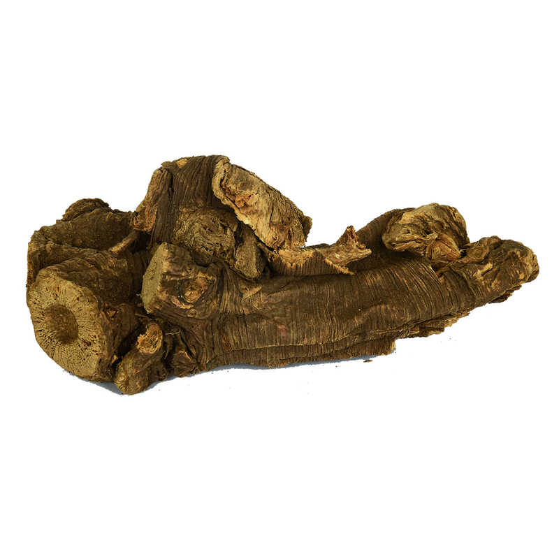 dogal-ravent-koku-100-gr-paket-lokmanavm-31532-10-b.jpg Doğal Ravent Kökü 100 Gr Paket - Görsel 1
