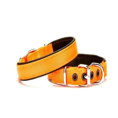 doggie-softlu-dokuma-kopek-tasmasi-2-5-cm-x-50-cm-turuncu.jpg Softlu Dokuma Köpek Tasması 2,5 cm x 50 cm Tcu - Görsel 1