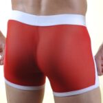 Don Moris DM071021 Erkek Boxer Çamaşır - Görsel 4