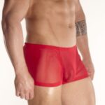 Don Moris DM080888 Erkek Boxer Çamaşır - Görsel 2