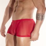 Don Moris DM080888 Erkek Boxer Çamaşır - Görsel 3