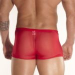 Don Moris DM080888 Erkek Boxer Çamaşır - Görsel 4