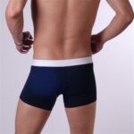 Don Moris DM140509 Erkek Boxer Çamaşır - Görsel 4