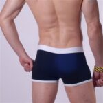 Don Moris DM140530 Erkek Boxer Çamaşır - Görsel 3