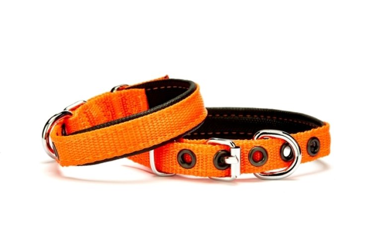 dsbt-1510-s-turuncu.jpg Softlu Köpek Boyun Tasması 1,5 cm x 35 cm Tcu - Görsel 1