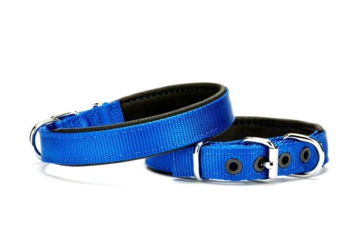dsbt-2010-s-mavi.jpg Softlu Köpek Boyun Tasması 1,5 cm x 35 cm Mavi - Görsel 1