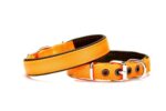 Yumuşak Doku Köpek Boyun Tasması 1,5/35 cm Tcu